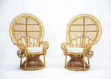 Peacock Chair